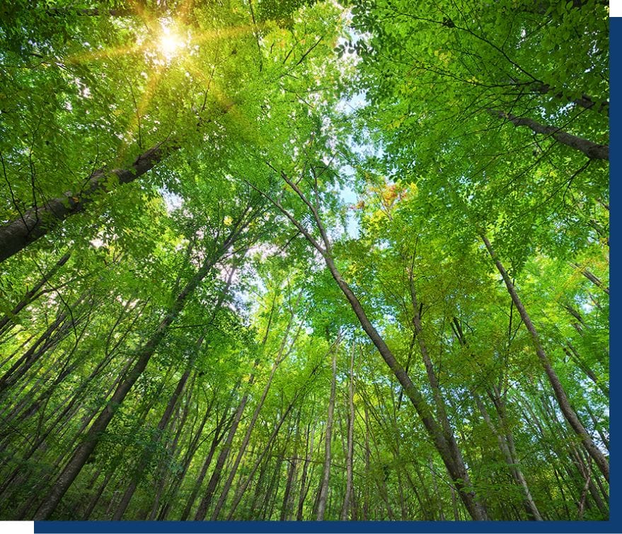 About us - Sustainability